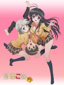 Kanokon: The Girl Who Cried Fox cover art