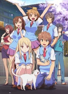 The Pet Girl of Sakurasou cover art