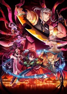 Demon Slayer: Kimetsu no Yaiba Entertainment District Arc cover art