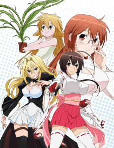 Sekirei cover art